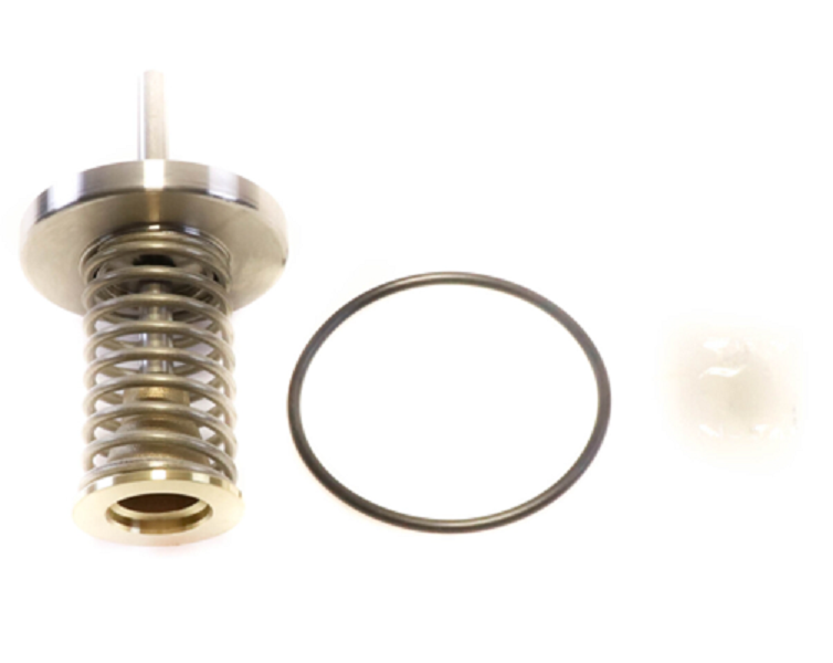 Watts 0794096 Repair Kit – GSIstore