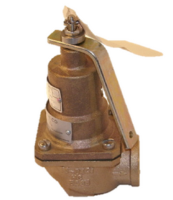 Kunkle Valve 0537-D01-HM0100 Valve