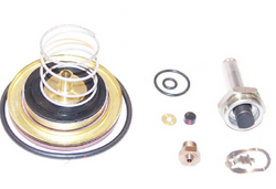 ASCO 310-420-HW Rebuild Kit