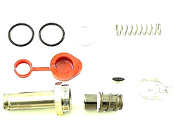 ASCO 302-116 Rebuild Kit