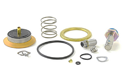 ASCO 304-394 Rebuild Kit