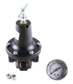 Watts R119-04CG Regulator