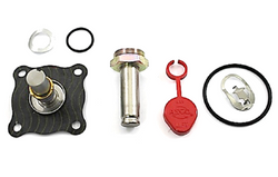 ASCO 304-089 Rebuild Kit