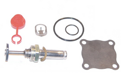 ASCO 302-379 Rebuild Kit