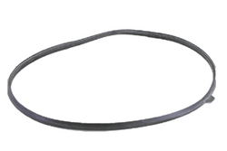 Laars Heating Systems R2069400 Door Gasket