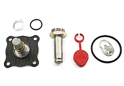 ASCO 304-089 Rebuild Kit