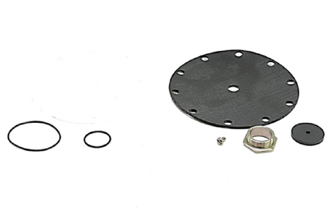 Watts 0125369 Repair Kit