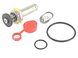 ASCO 304-387 Rebuild Kit