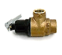 Lochinvar & A.O. Smith 100111921 Relief Valve