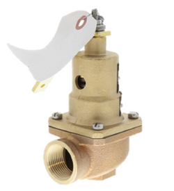 Kunkle Valve 0537-D01-AHM0125 Valve