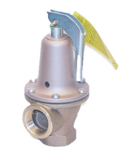 Watts 0276250 Valve