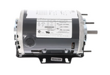 Nidec-US Motors D13B10N49 Motor