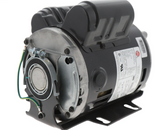 Nidec-US Motors D13CPA2P49 Motor