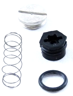 Rheem-Ruud 60-23430-01 Spring Kit