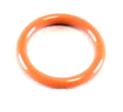 Lochinvar & A.O. Smith 100076307 O-Ring