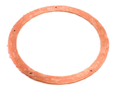 Lochinvar & A.O. Smith 100287096 Gasket