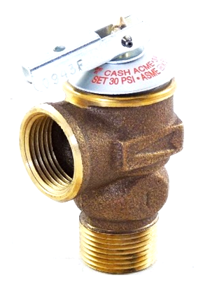 Lochinvar & A.O. Smith 100208449 Relief Valve