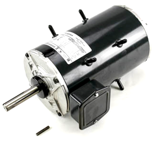 Carrier HD56AK656 Motor