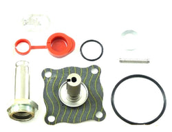 ASCO 302-272 Rebuild Kit