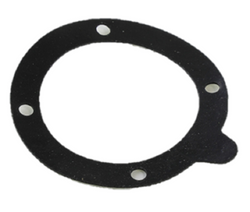 Lochinvar & A.O. Smith 100208764 Gasket