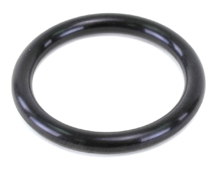 Lochinvar & A.O. Smith 100290345 Gasket – GSIstore