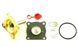 ASCO 302-273 Rebuild Kit