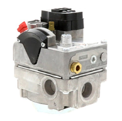 Raypak 005461F Valve