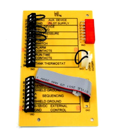 Lochinvar & A.O. Smith 100208499 Connection Board