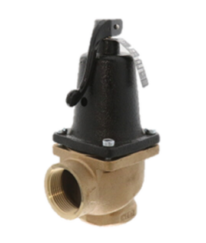 Lochinvar & A.O. Smith 100111923 Relief Valve