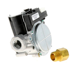 Rheem-Ruud 60-102405-81 Valve