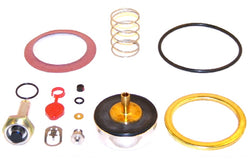 ASCO 310-421-HW Rebuild Kit