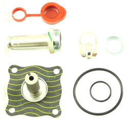 ASCO 302-328 Rebuild Kit