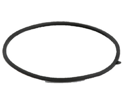 Lochinvar & A.O. Smith 100208093 Door Gasket