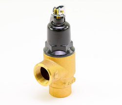 Lochinvar & A.O. Smith 100208451 Relief Valve