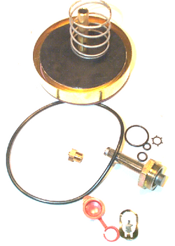 ASCO 304-355 Rebuild Kit