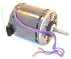 Lennox 34K80 Motor